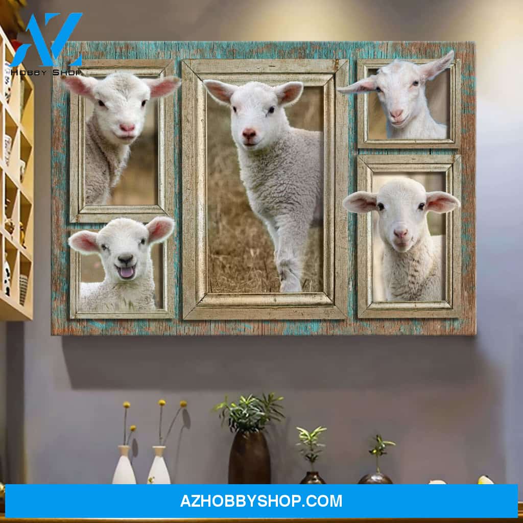 Adorable lamb in frame pictures Landscape Canvas Prints - Wall Art