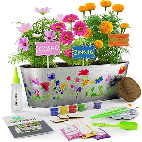 Dan&Darci Paint & Plant Flower Growing Kit Review – Artsy Garden Fun for Kids