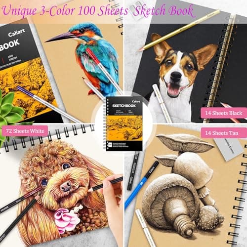 Caliart 176PCS Art Supplies Sketching Kit with 100 Sheets 3-Color Sketch Book, Graphite Colored Charcoal Watercolor & Metallic Pencils, Drawing Set Gifts for Adults Teens Girls Boys Kids
